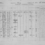 WEEK-2-1871-Census-for-Matthew-Artis