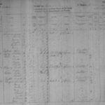 WEEK-2-1881-Census-for-Gabriel-and-Mary-Clingman
