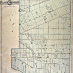 WEEK-2-Map-of-North-and-South-Colchester-1881-Matthews-Settlement