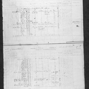 WEEK 1 - 1871 Census for Julia Turner